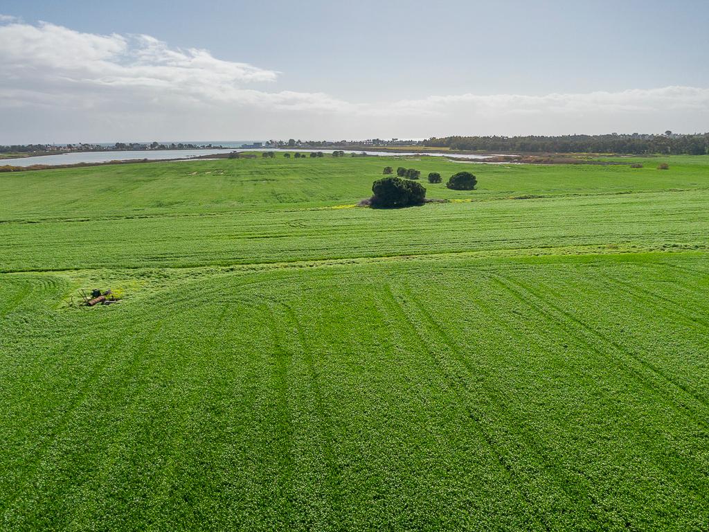 &Chi;&omega;&rho;ά&phi;&iota;-&Delta;&rho;&omicron;&mu;&omicron;&lambda;&alpha;&xi;ί&alpha; - &Mu;&epsilon;&nu;&epsilon;&omicron;ύ-PR43007