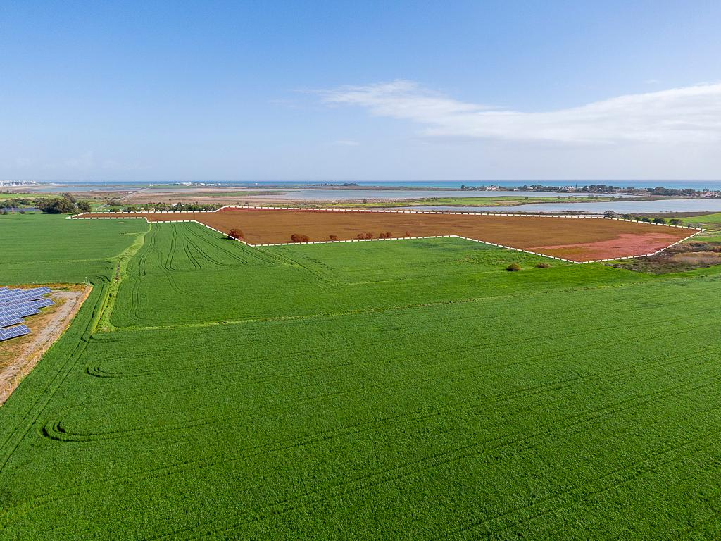&Chi;&omega;&rho;ά&phi;&iota; - &Mu;&epsilon;&nu;&epsilon;&omicron;ύ, &Lambda;ά&rho;&nu;&alpha;&kappa;&alpha;