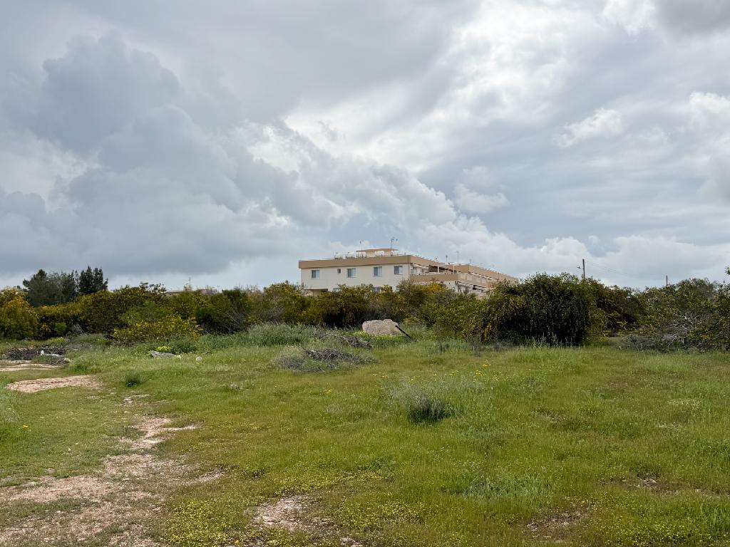 Field-Paralimni-PR44790