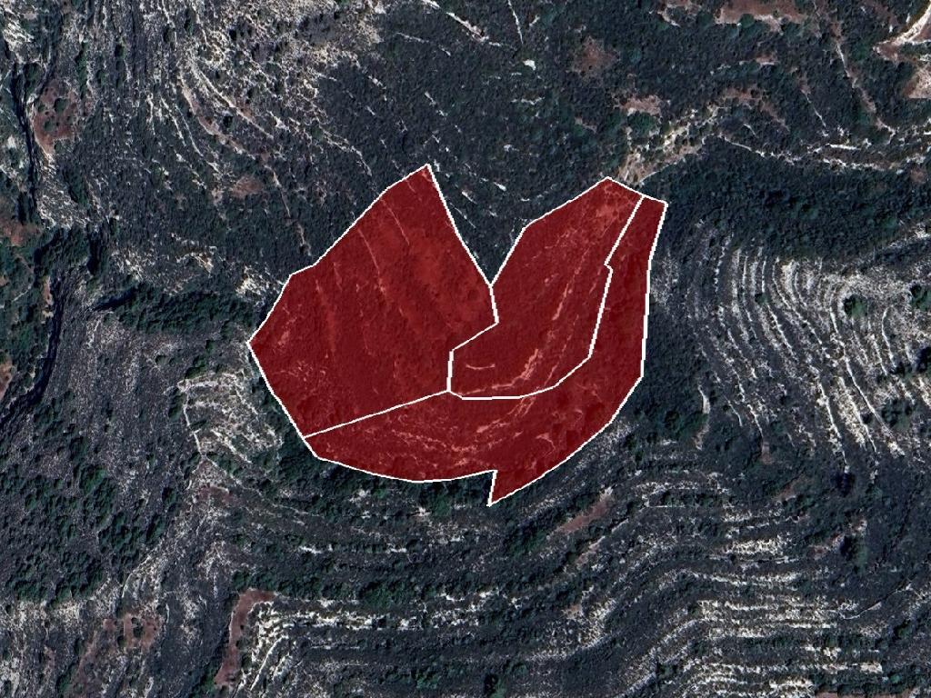 &Chi;&omega;&rho;ά&phi;&iota; - &Kappa;&omicron;&iota;&lambda;ά&nu;&iota;, &Lambda;&epsilon;&mu;&epsilon;&sigma;ό&sigmaf;