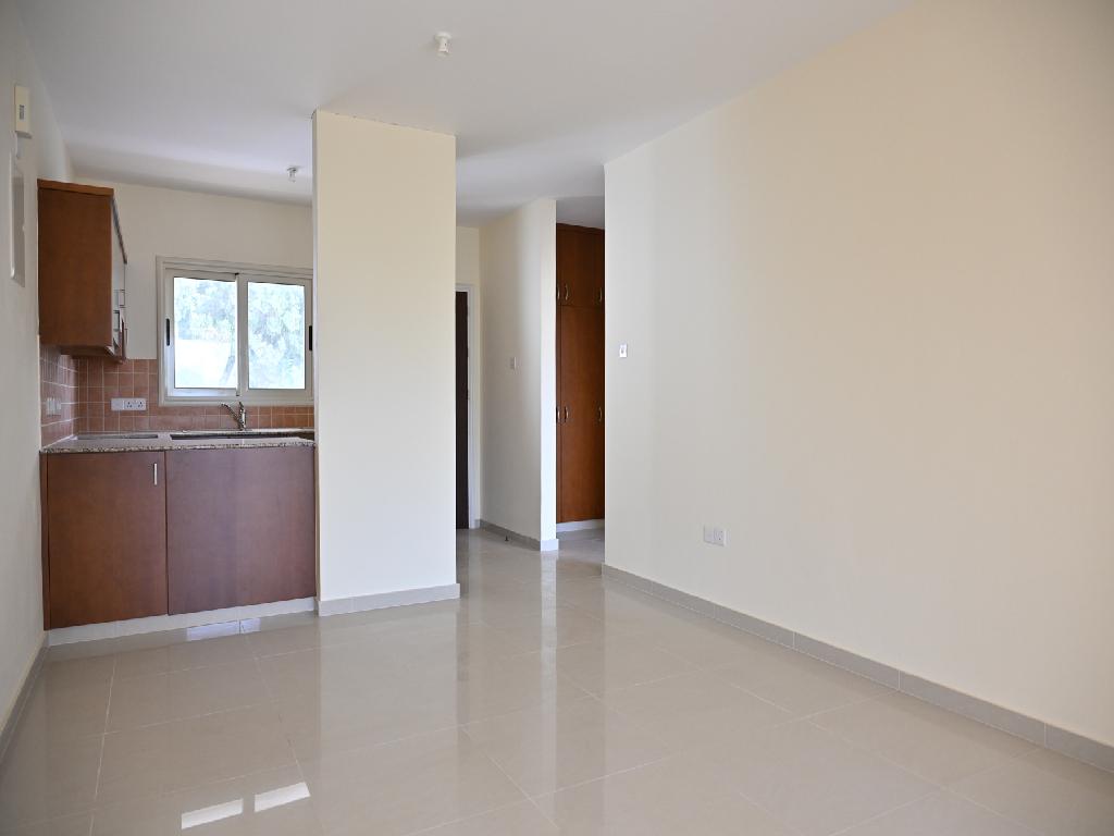 Flat-Paralimni-PR45006