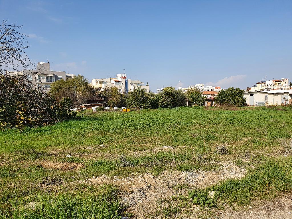 Field (Share) -  Latsia, Nicosia