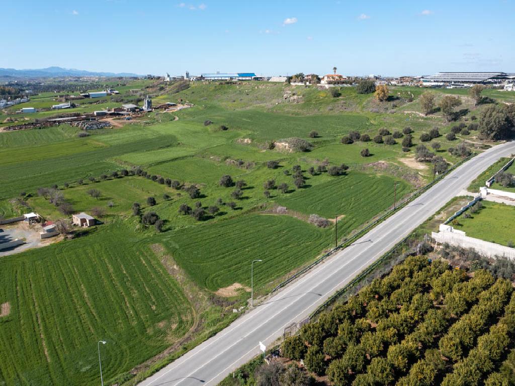 Field - Dali, Nicosia