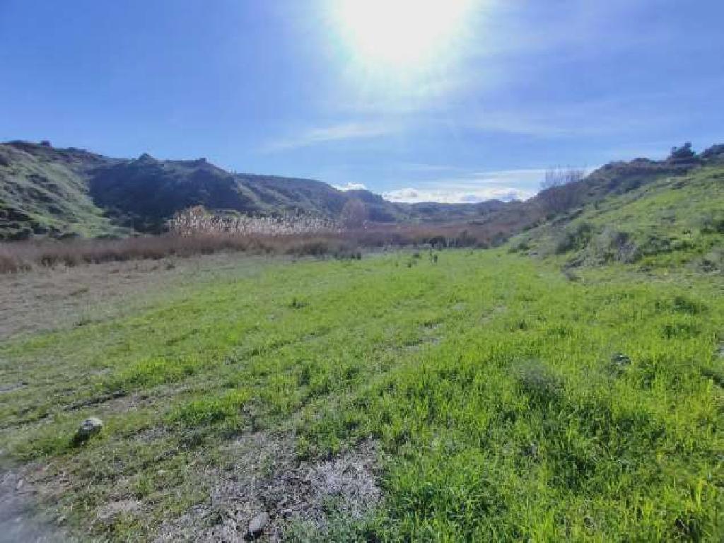 Field-Arediou-PR35386