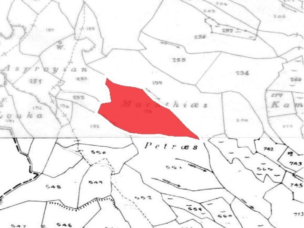 Field-Peristerona-PR35889