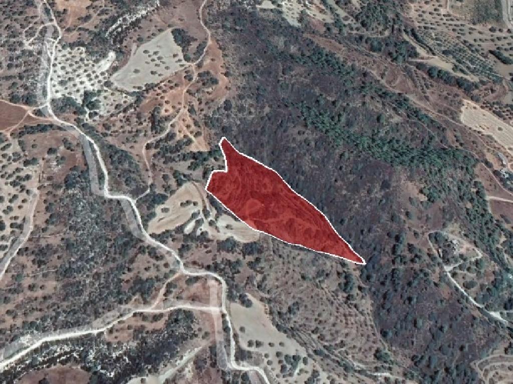 Field-Peristerona-PR35889