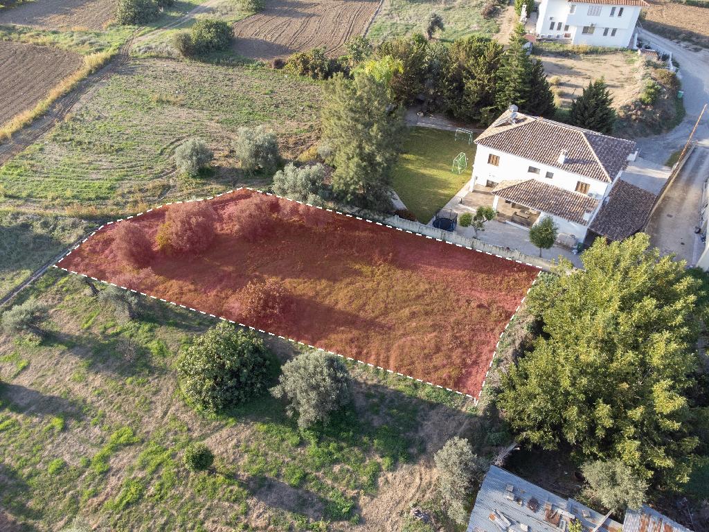 Field - Ergates, Nicosia