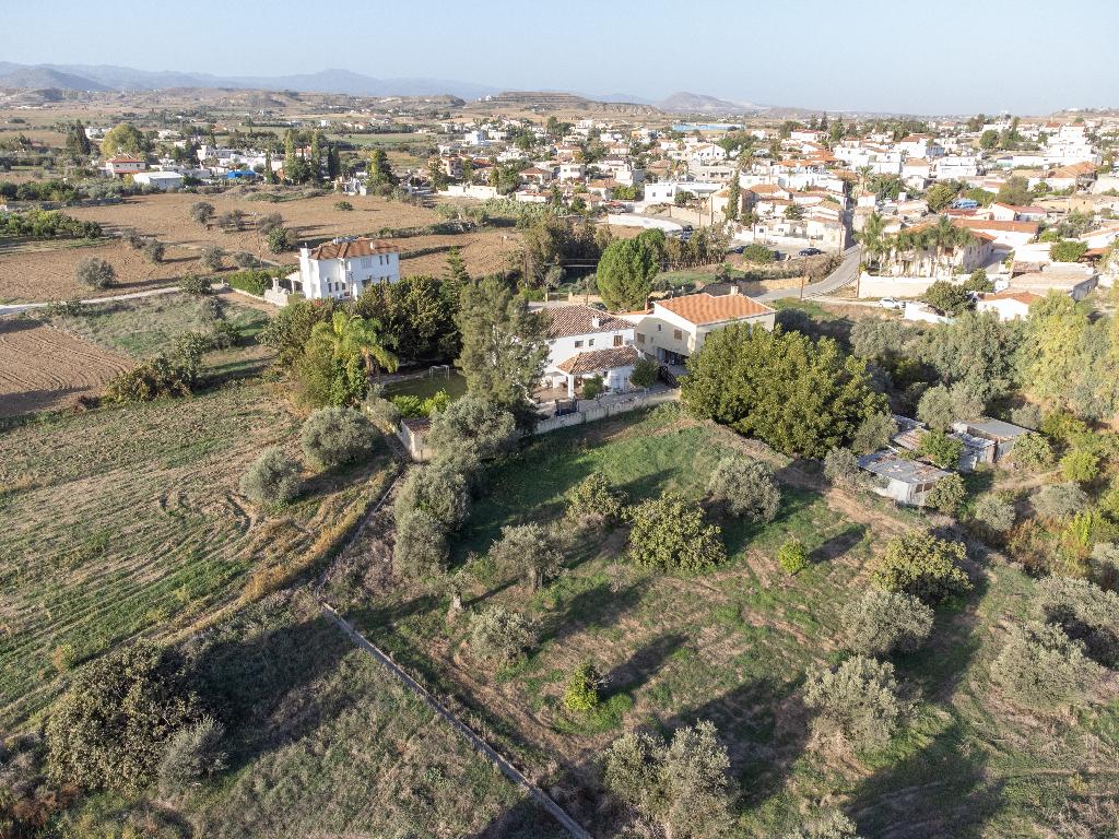 Field - Ergates, Nicosia