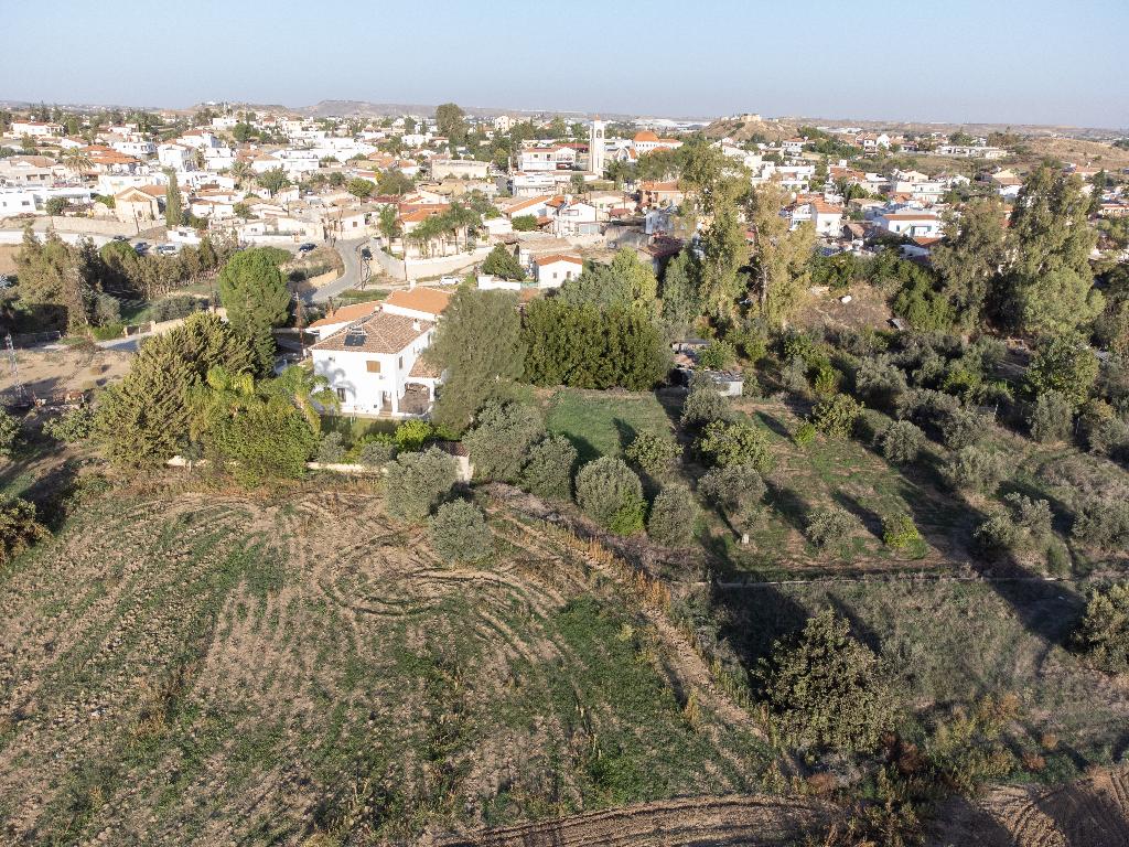 Field - Ergates, Nicosia