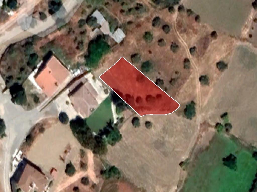 Field-Ergates-PR37969