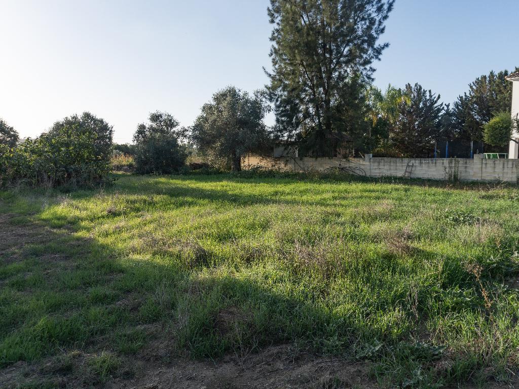 Field - Ergates, Nicosia