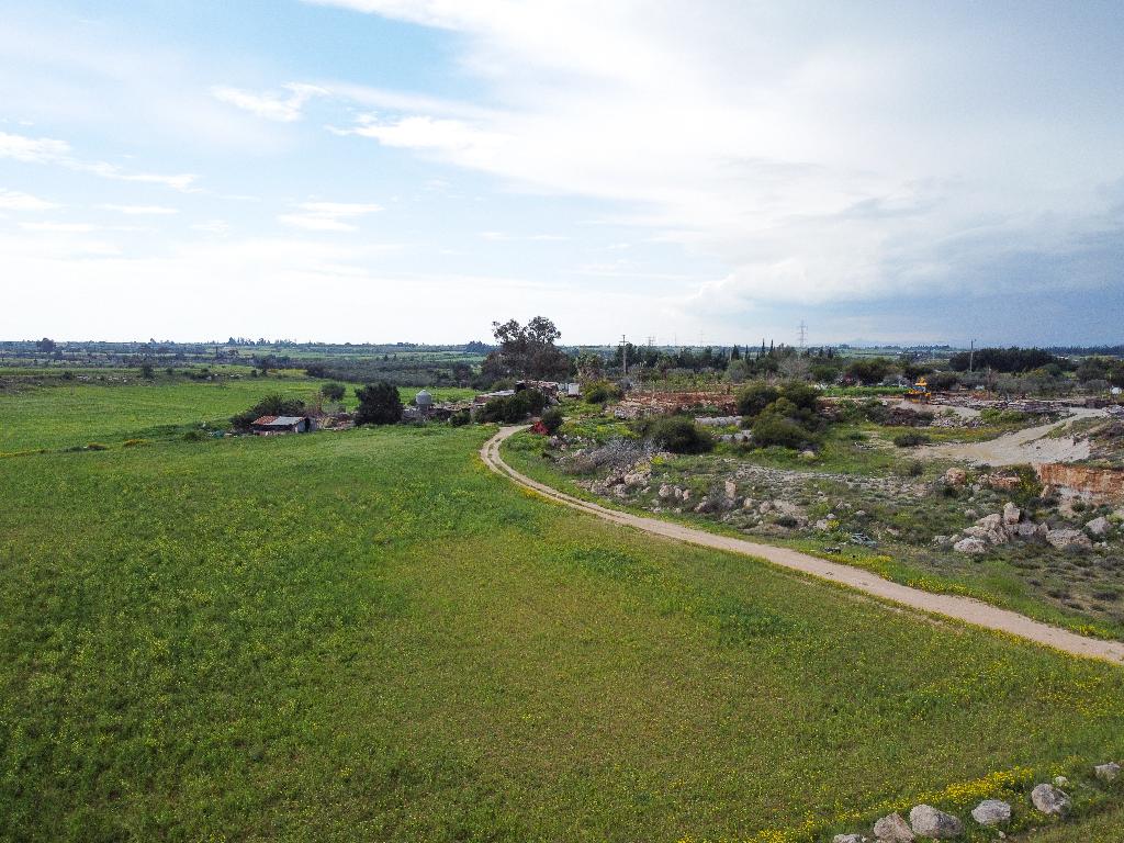 Field (Share) - Frenaros, Famagusta