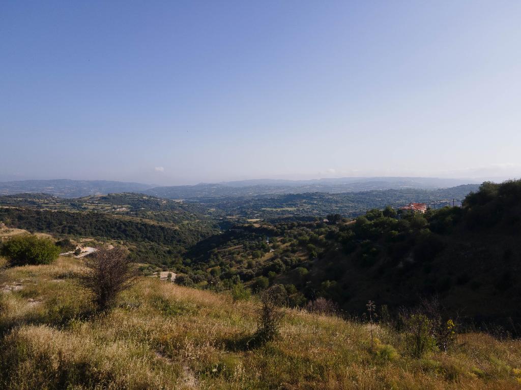 Field - Psathi, Paphos