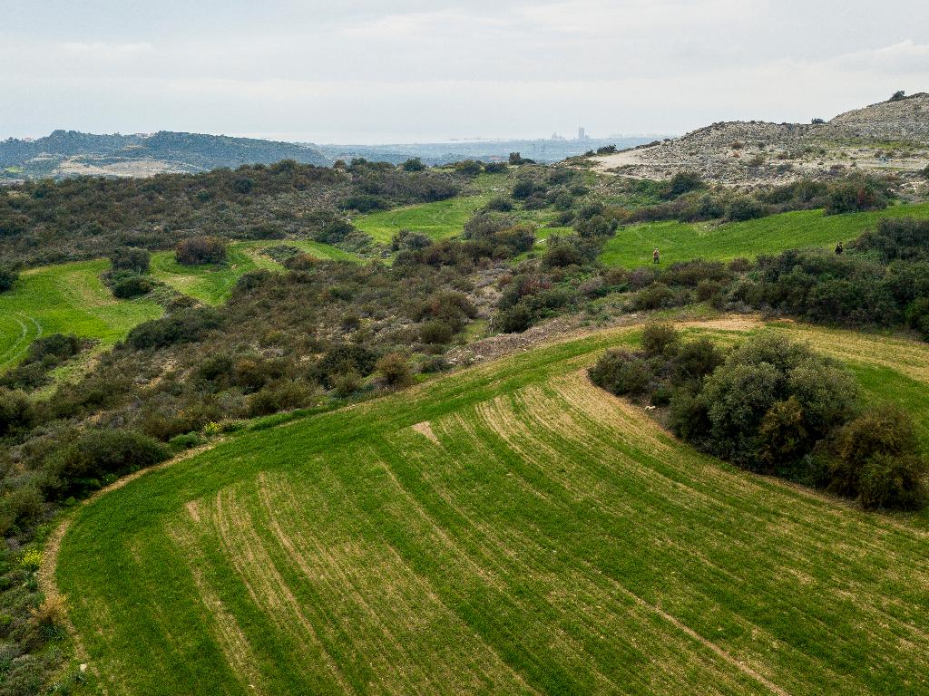 &Chi;&omega;&rho;ά&phi;&iota; - &Chi;&omicron;&iota;&rho;&omicron;&kappa;&omicron;&iota;&tau;ί&alpha;, &Lambda;ά&rho;&nu;&alpha;&kappa;&alpha;
