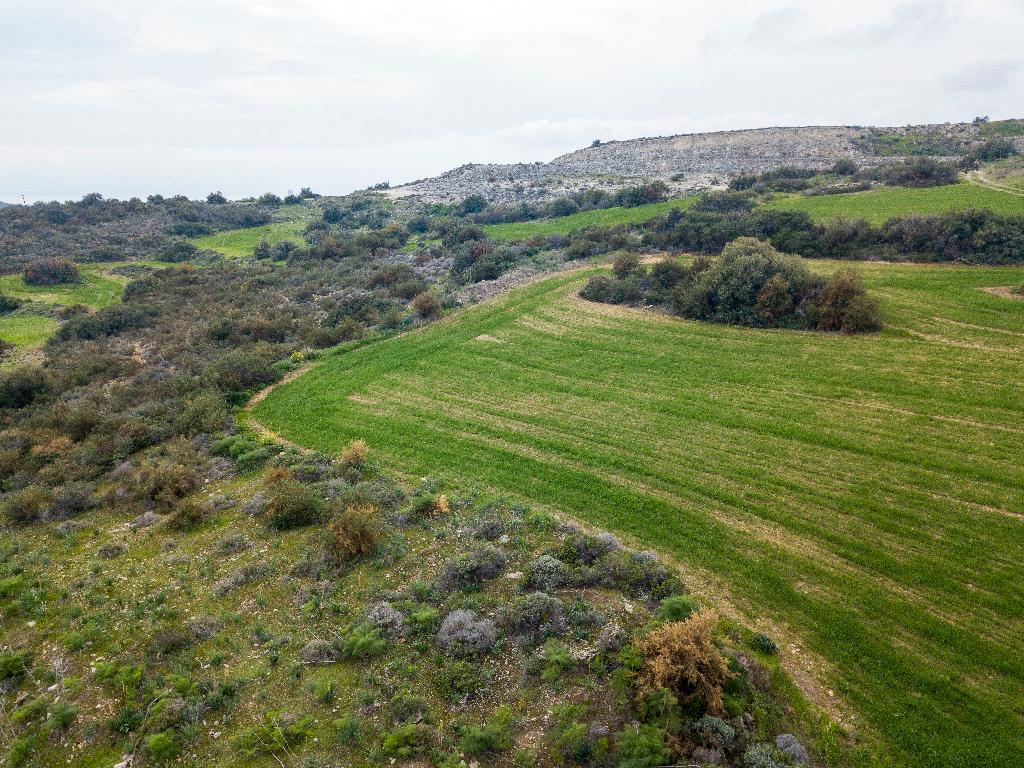 &Chi;&omega;&rho;ά&phi;&iota;-&Chi;&omicron;&iota;&rho;&omicron;&kappa;&omicron;&iota;&tau;ί&alpha;-PR39374