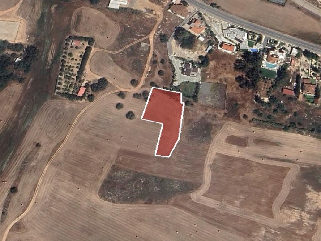 Field-Paralimni-PR39449