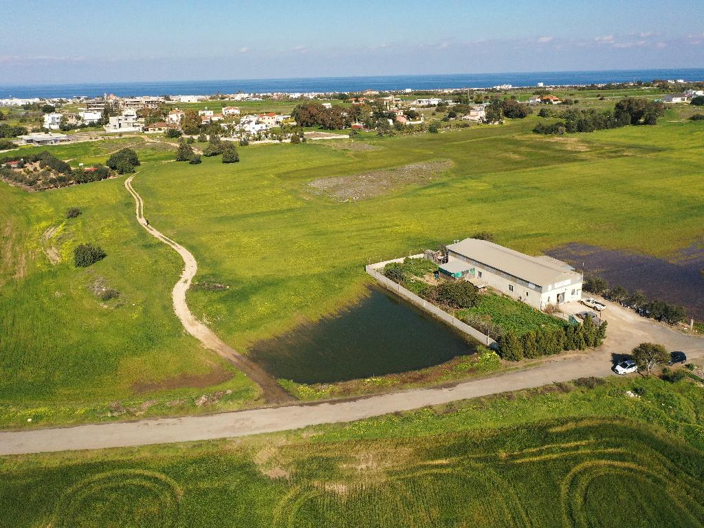 Field-Paralimni-PR39449