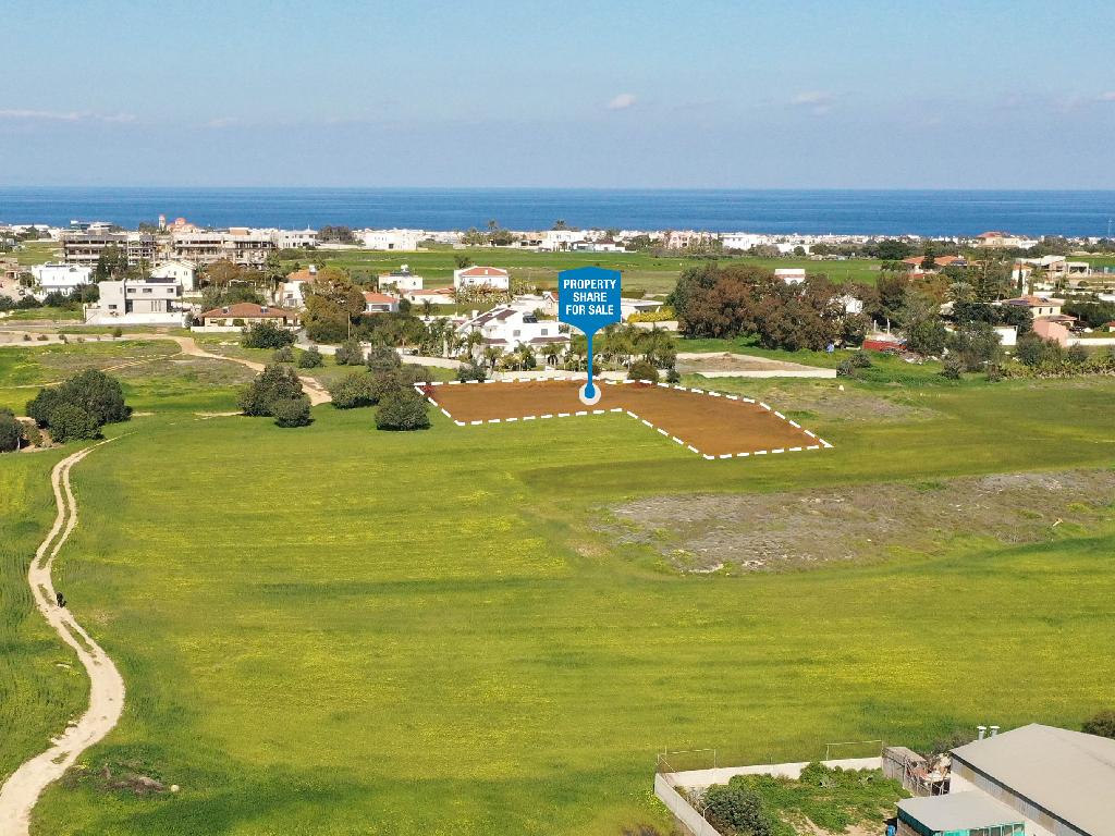 Field-Paralimni-PR39449