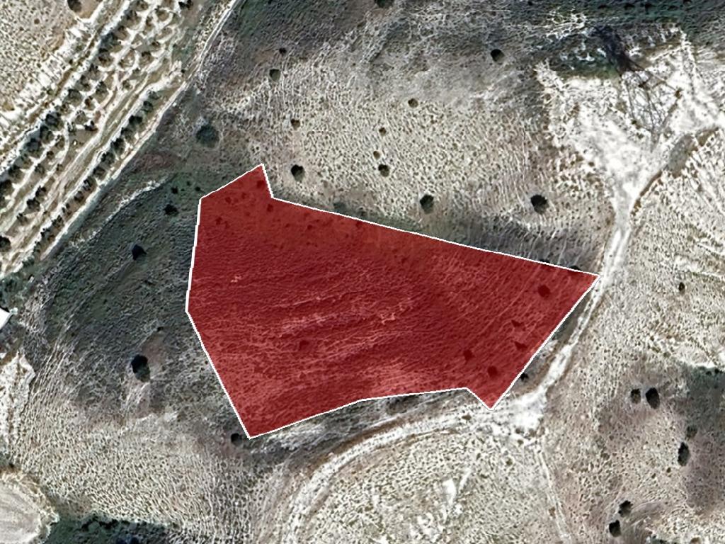 Field-Lympia-PR40163