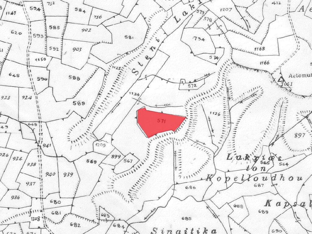 Field-Lympia-PR40163