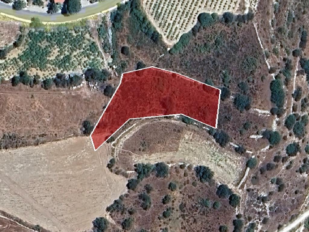 Field-Statos - Agios Fotios-PR40456
