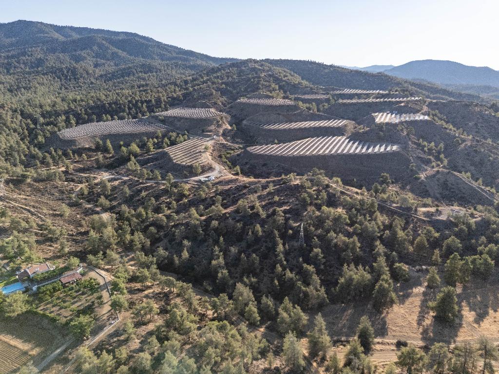 Field-Agios Epifanios (Soleas)-PR40902