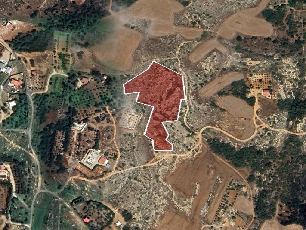 Field-Paralimni-PR41380