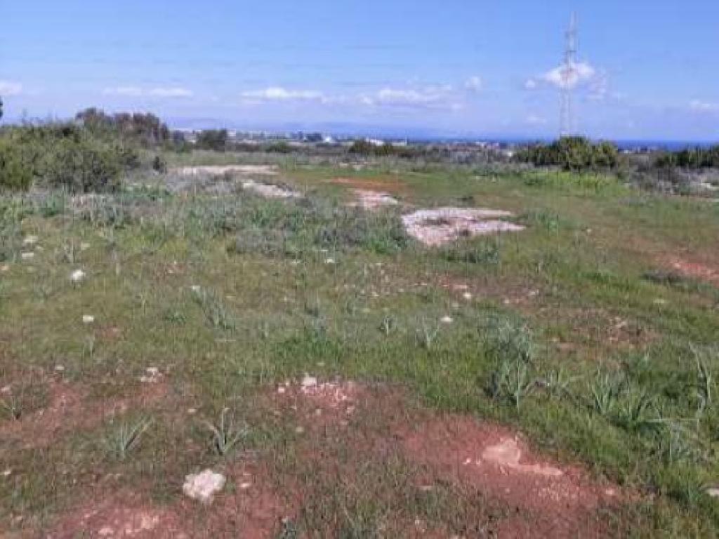 Field-Paralimni-PR41380