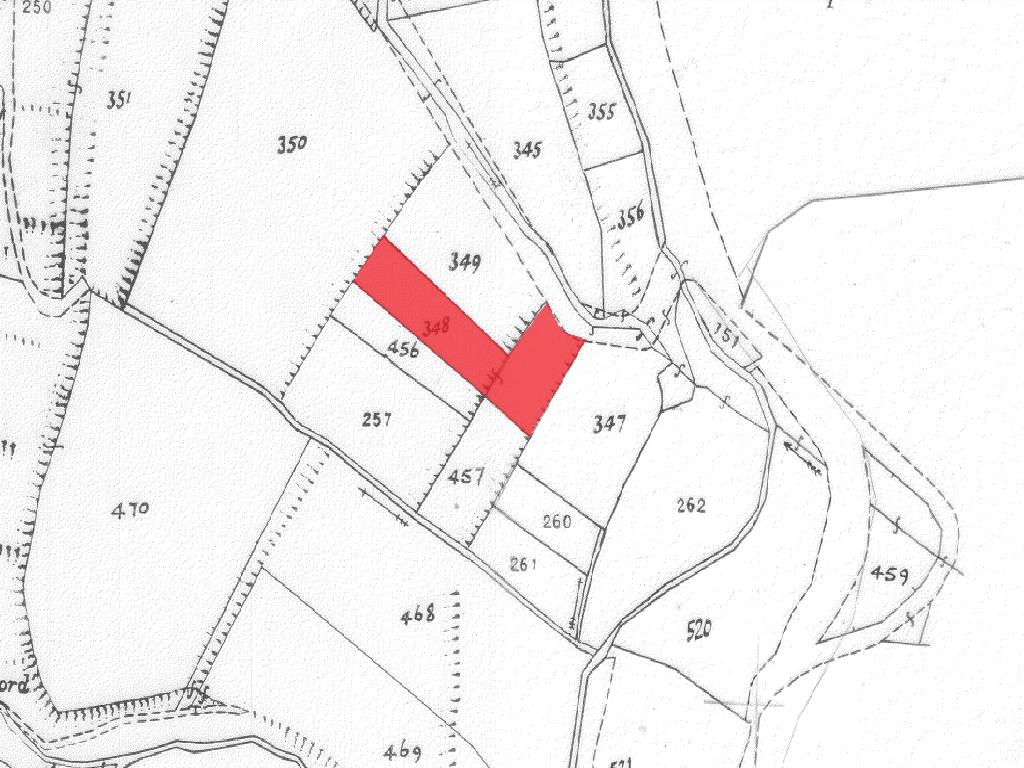 Field-Agios Theodoros (Soleas)-PR41881