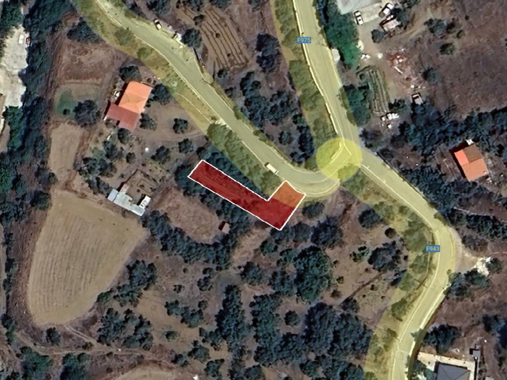 Field-Agios Theodoros (Soleas)-PR41881