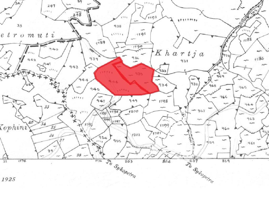 Field-Kampi-CP10113