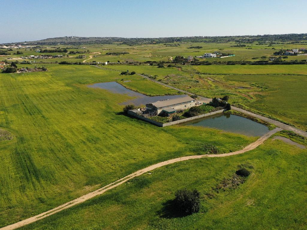 Field-Paralimni-CP10122