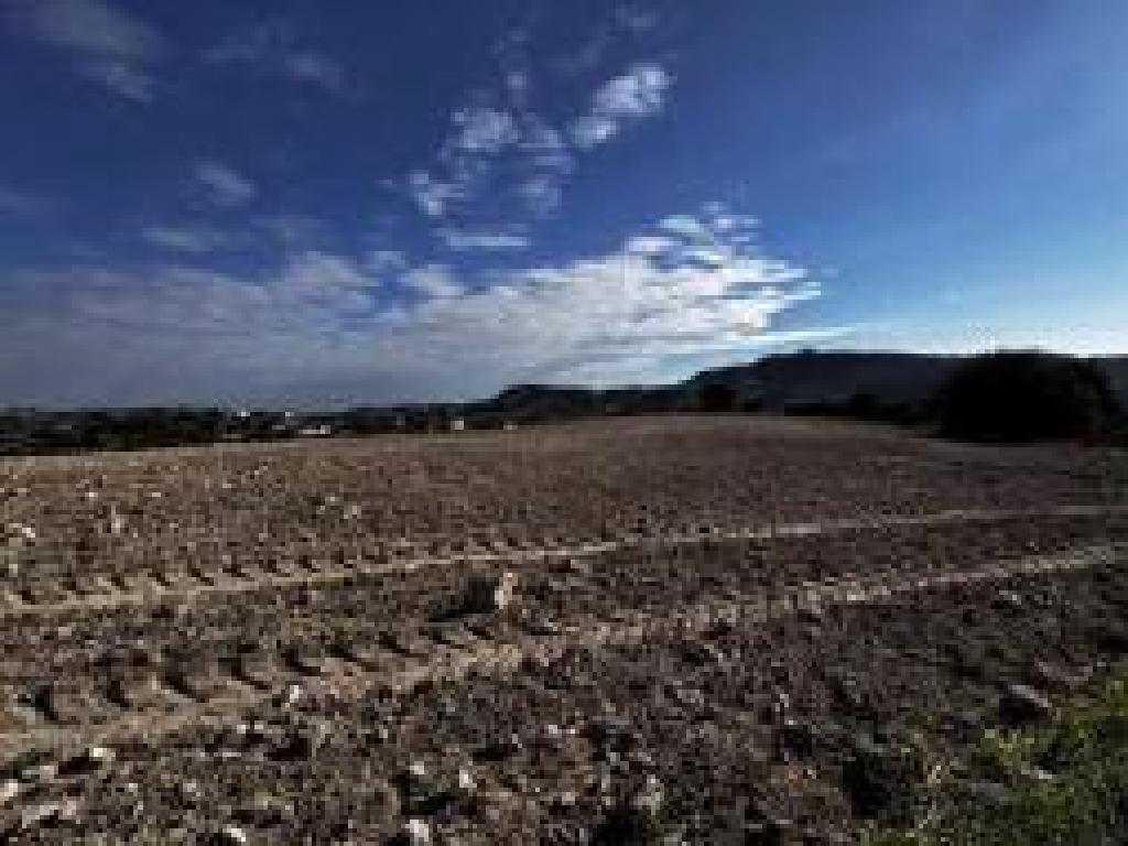 Field - Αgios Theodoros, Larnaca