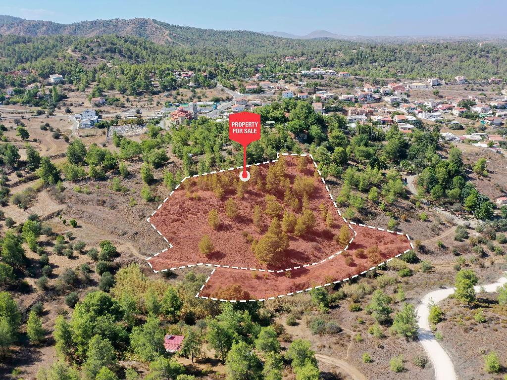 &Chi;&omega;&rho;ά&phi;&iota; - &Kappa;&alpha;&pi;&epsilon;&delta;έ&sigmaf;, &Lambda;&epsilon;&upsilon;&kappa;&omega;&sigma;ί&alpha;