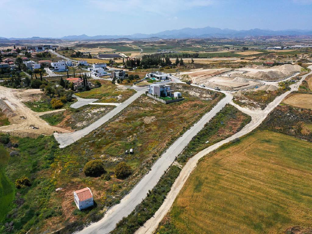 Plot-Dali-PR10961