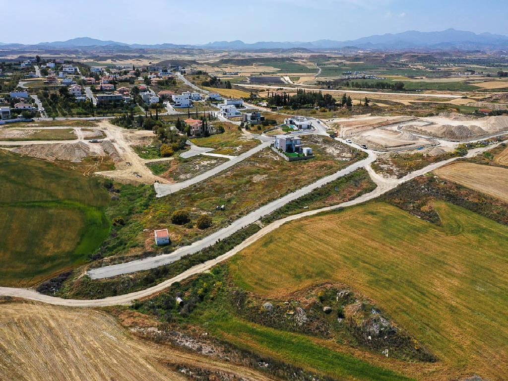 Plot-Dali-PR10961