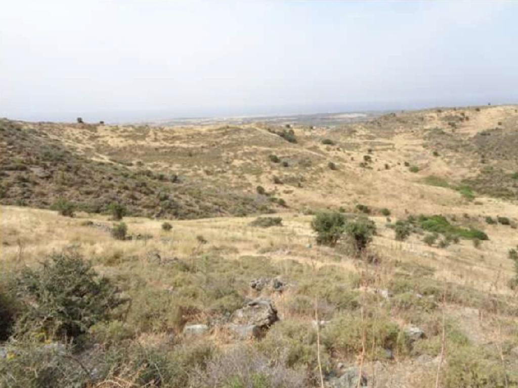 Field-Episkopi-PR32703