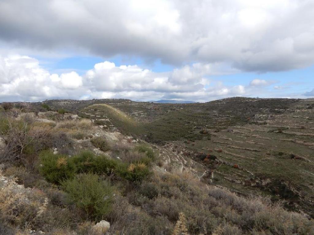 Field-Vouni-PR35133