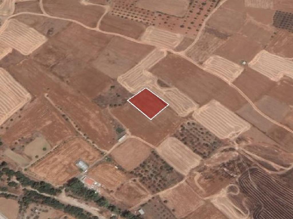 Field - Paliometocho, Nicosia