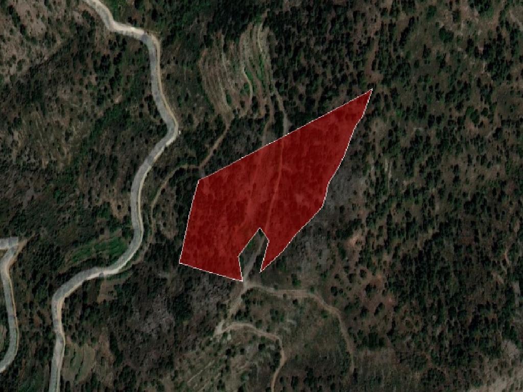 Field-Farmakas-PR37397