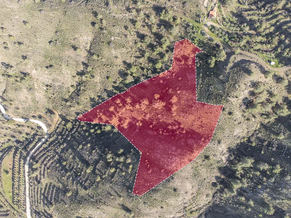 Field-Fikardou-PR38709
