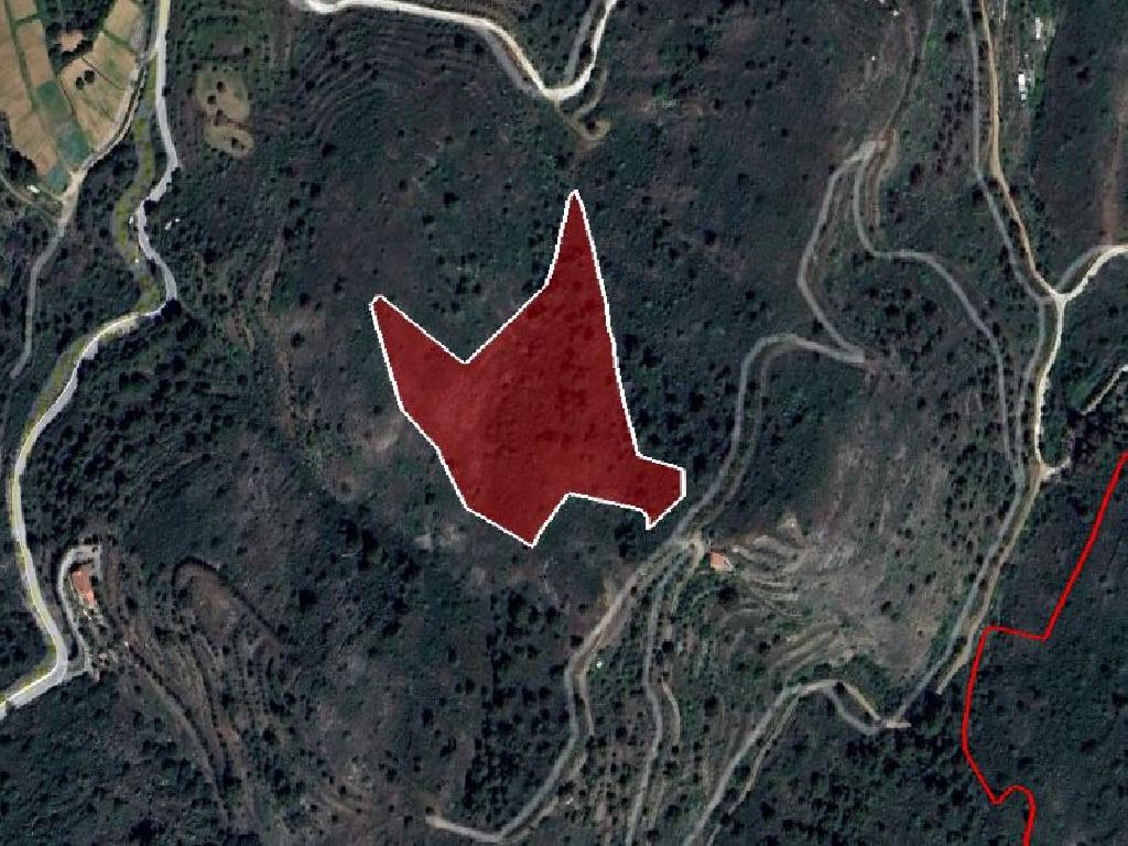 Field-Fikardou-PR38709