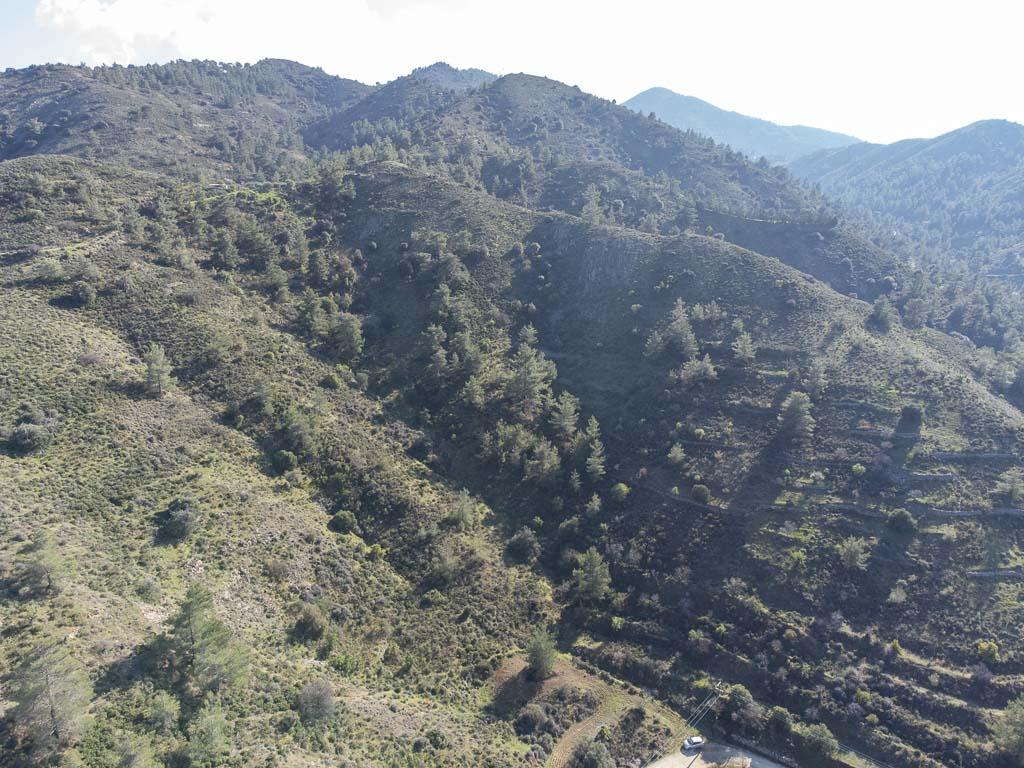 Field-Fikardou-PR38709