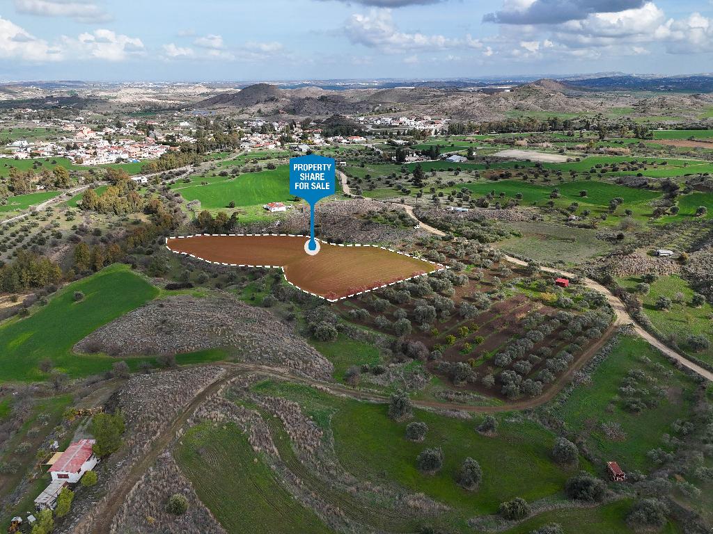 Field (Share) - Analiontas, Nicosia