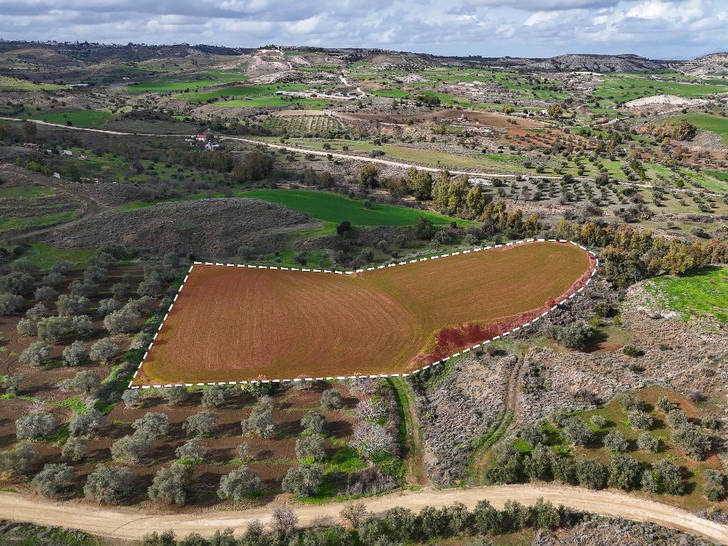 Field (Share) - Analiontas, Nicosia