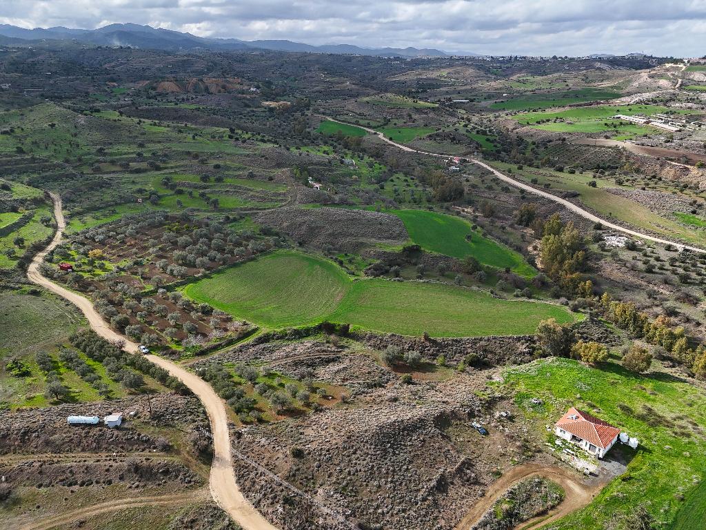 Field (Share) - Analiontas, Nicosia