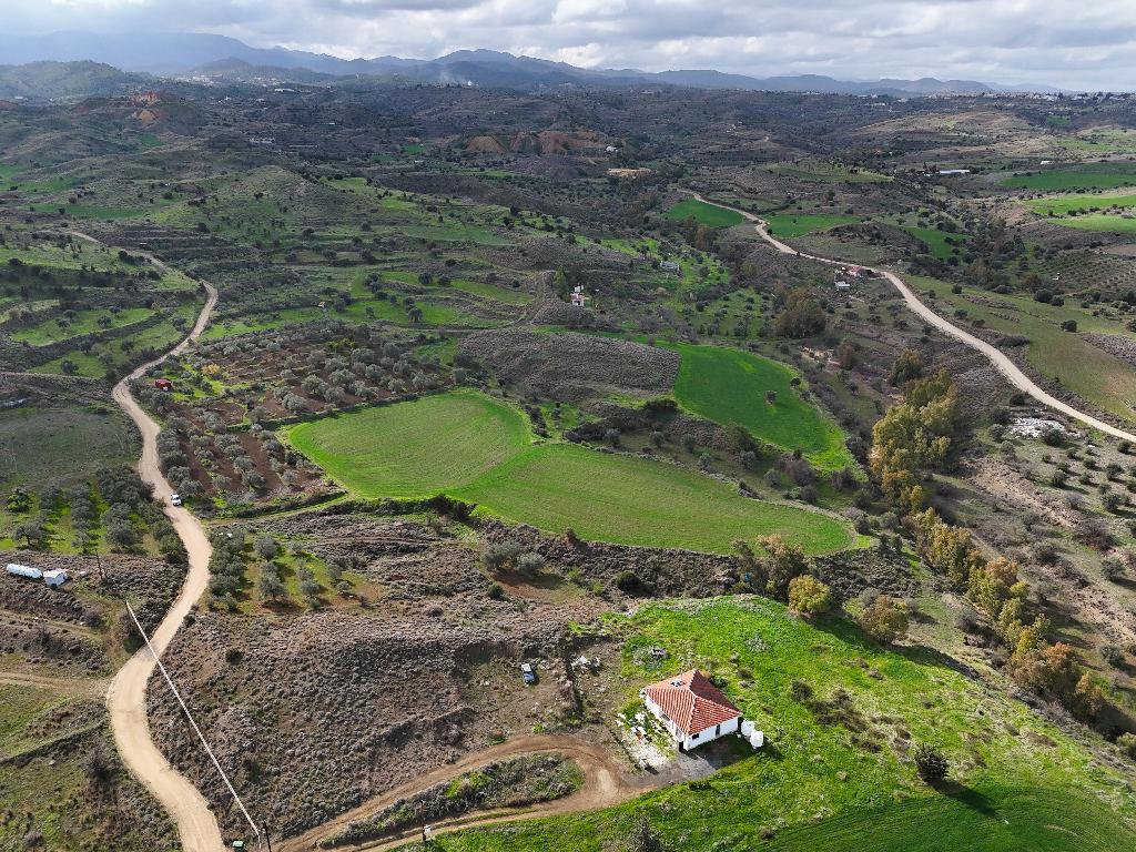 Field (Share) - Analiontas, Nicosia