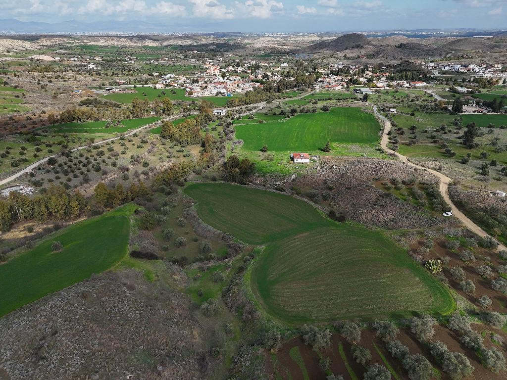 Field (Share) - Analiontas, Nicosia