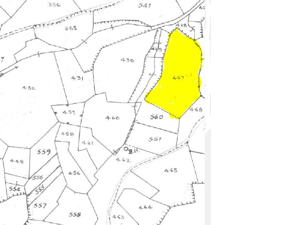 Field-Analiontas-PR38884