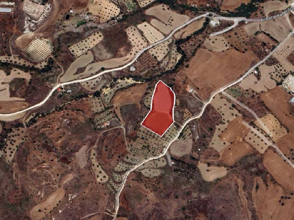 Field-Analiontas-PR38884